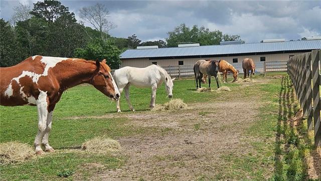 14712 Graci Road Folsom, LA 70437 - Photo 7 of 20