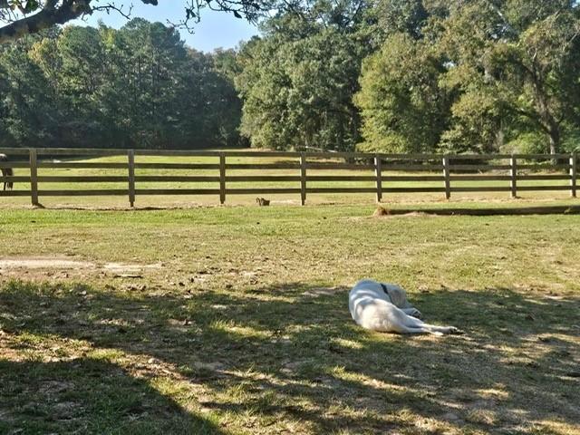 14712 Graci Road Folsom, LA 70437 - Photo 10 of 20
