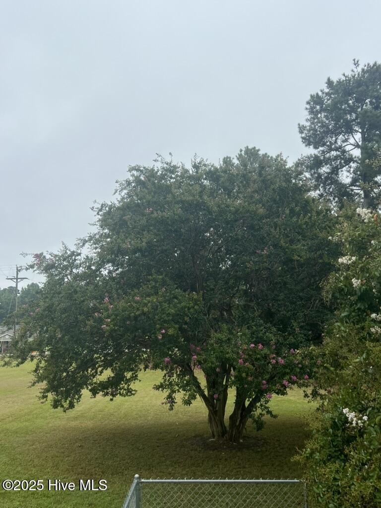 6140 McKendree Church Road Tarboro, NC 27886 - Photo 53 of 64 B918EEA2-65D5-45D9-92F2-B9EBD8D7A4E8_1_1