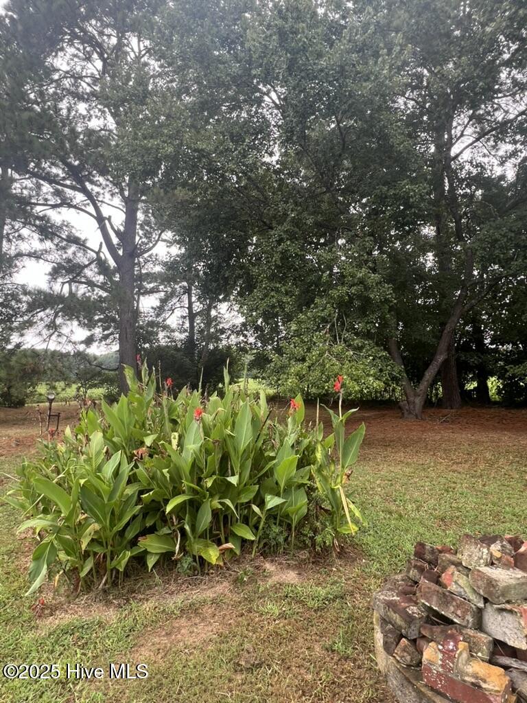 6140 McKendree Church Road Tarboro, NC 27886 - Photo 56 of 64 0FFB3D50-23B0-4D65-AF1E-66244878CD77_1_1