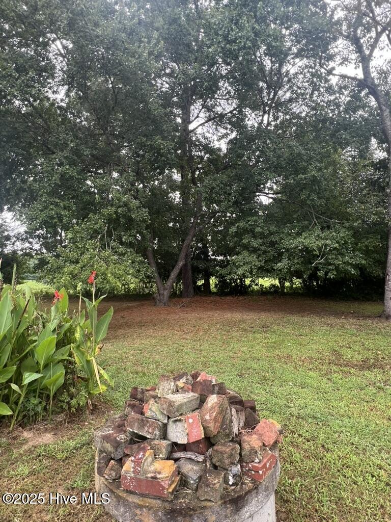 6140 McKendree Church Road Tarboro, NC 27886 - Photo 57 of 64 BD2786D1-2533-4455-A861-40037B6FACD1_1_1