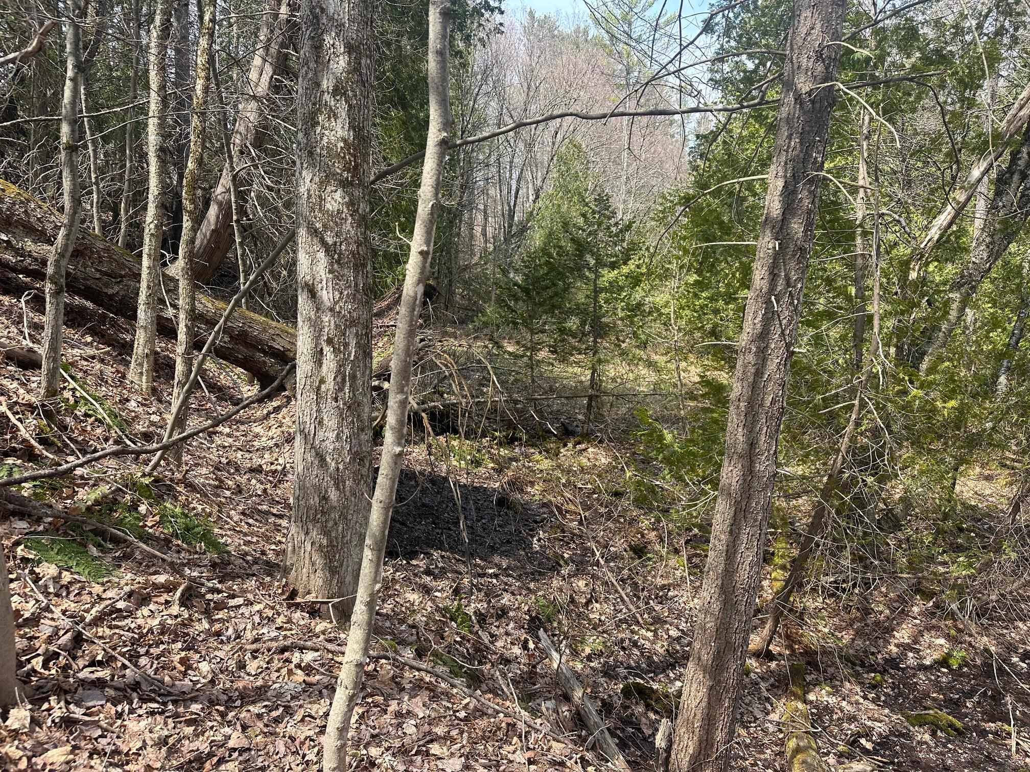 75 Plains Road Jericho, VT 05465 - Photo 11 of 26