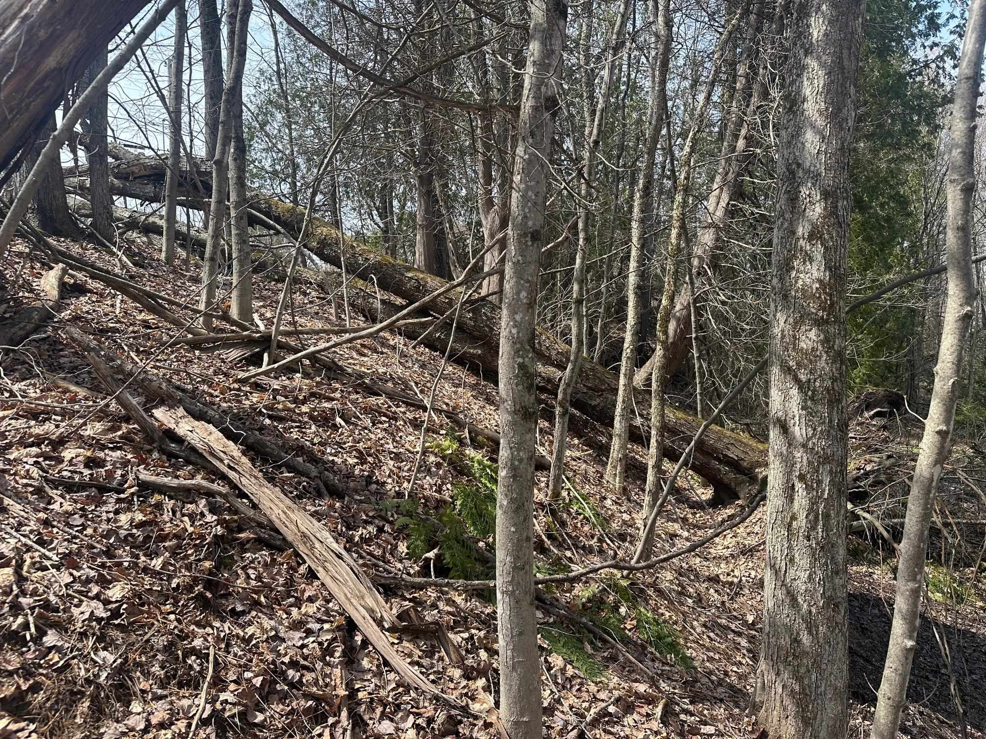 75 Plains Road Jericho, VT 05465 - Photo 12 of 26