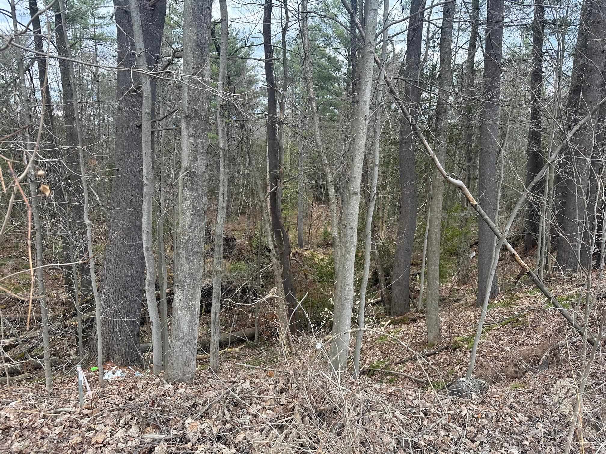 75 Plains Road Jericho, VT 05465 - Photo 14 of 26