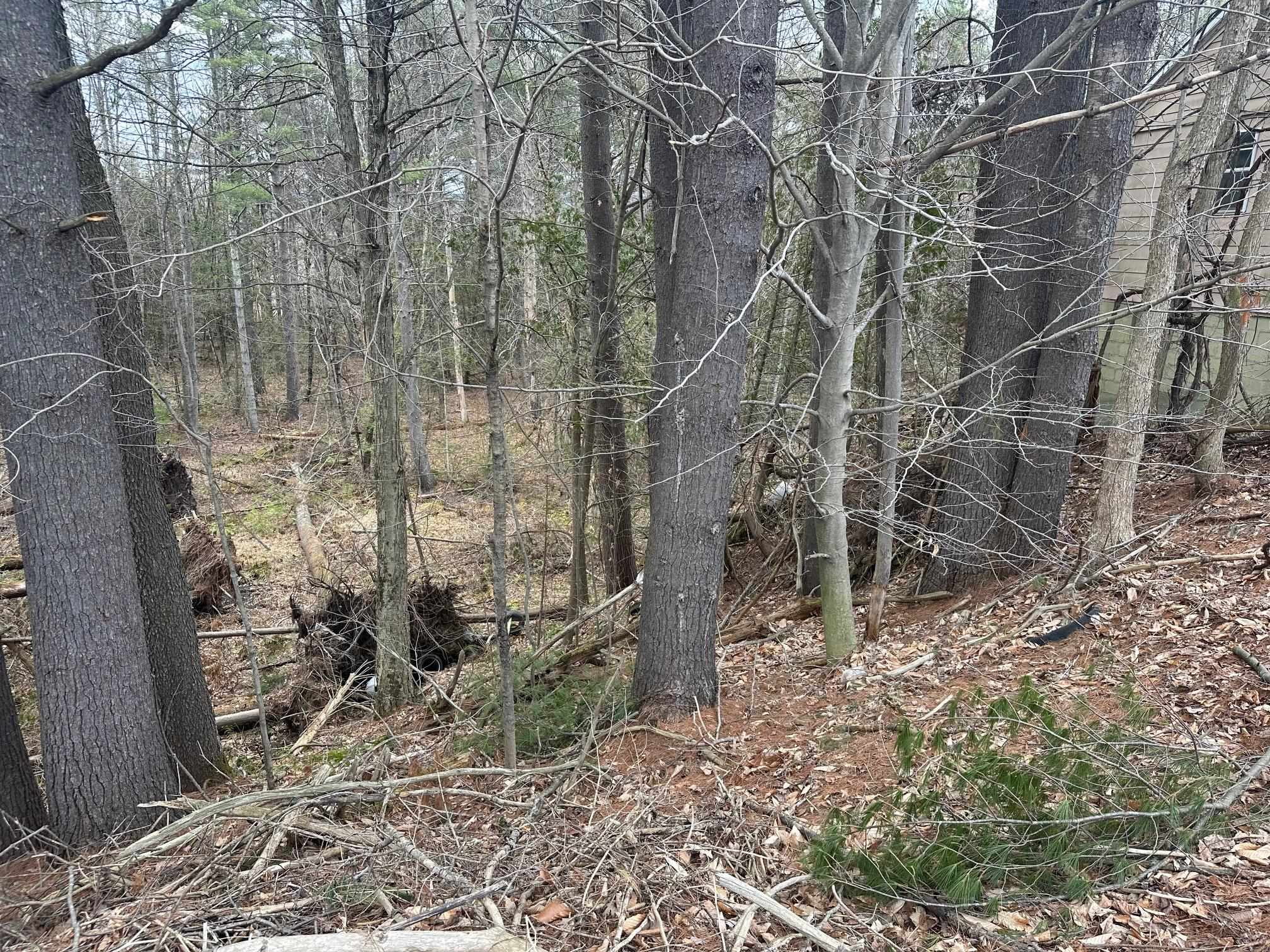 75 Plains Road Jericho, VT 05465 - Photo 15 of 26