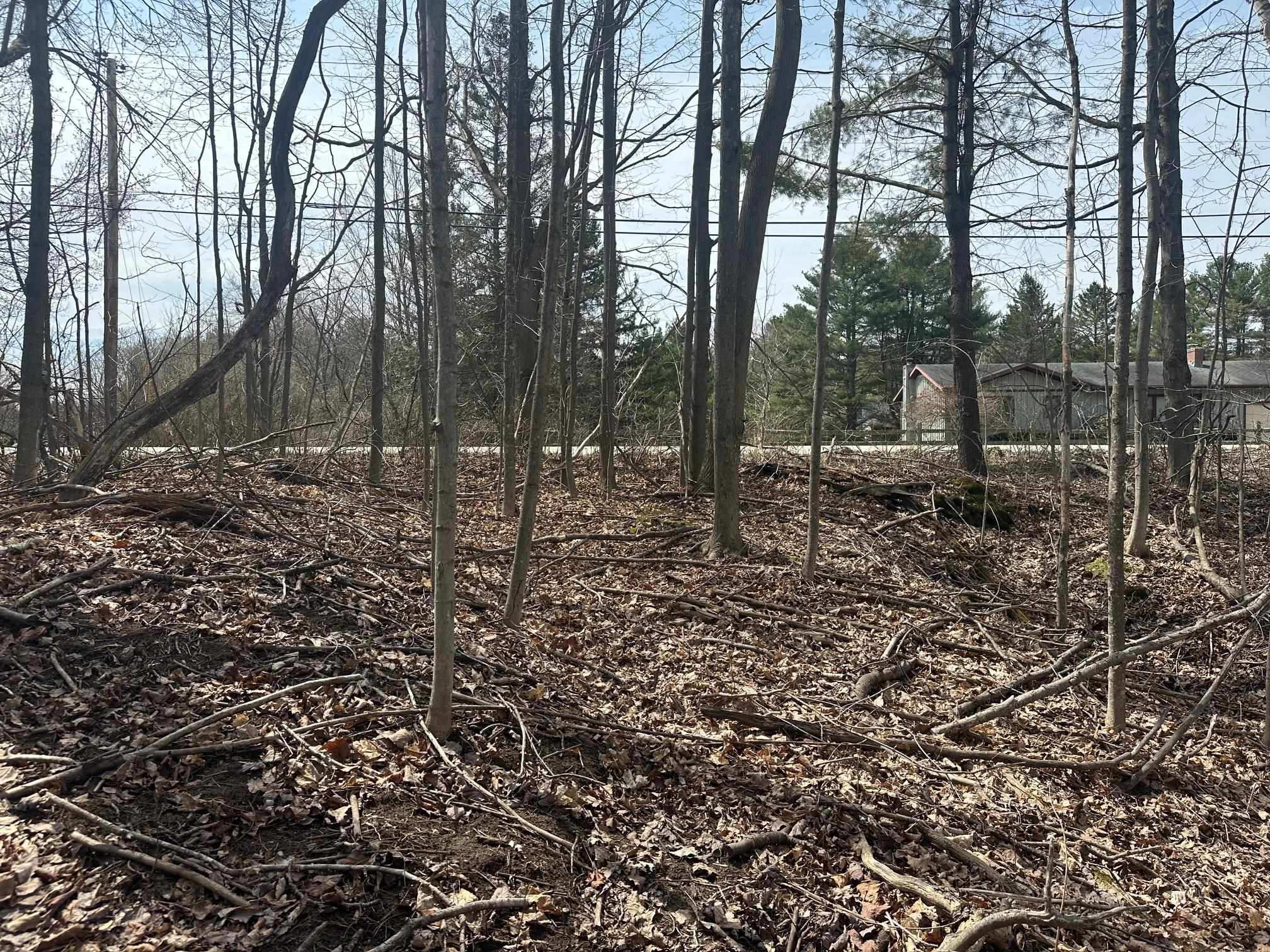 75 Plains Road Jericho, VT 05465 - Photo 16 of 26