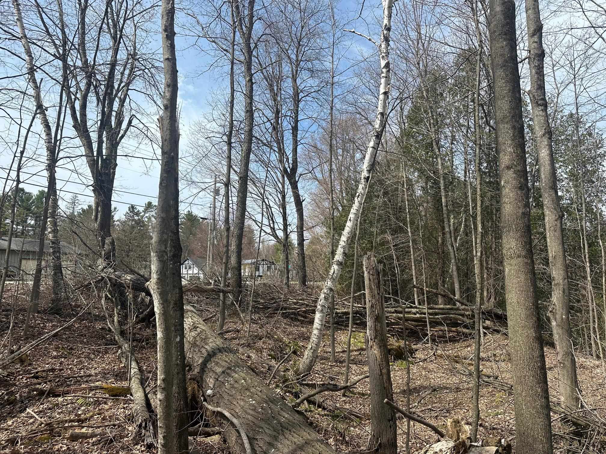 75 Plains Road Jericho, VT 05465 - Photo 17 of 26