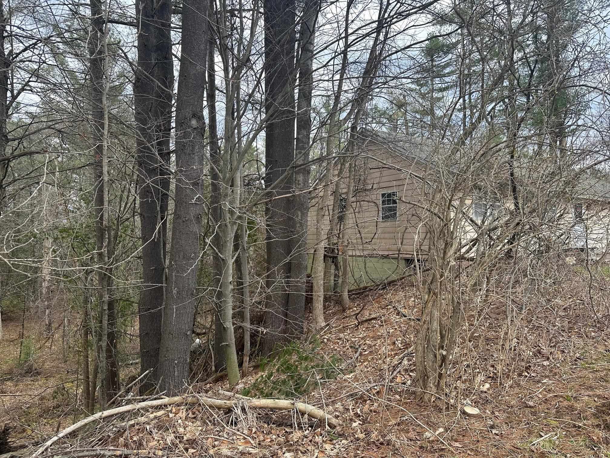 75 Plains Road Jericho, VT 05465 - Photo 26 of 26