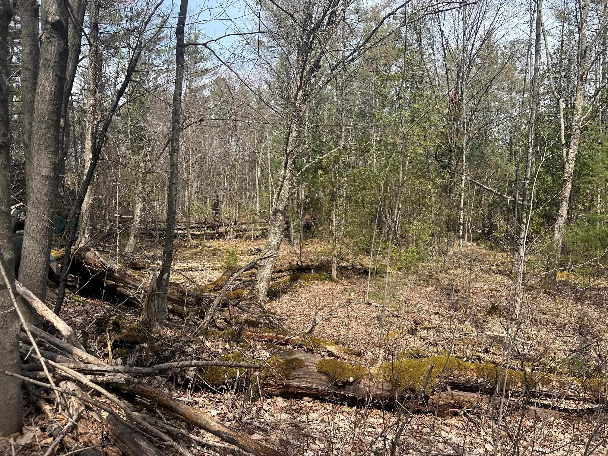 75 Plains Road Jericho, VT 05465 - Photo 7 of 26