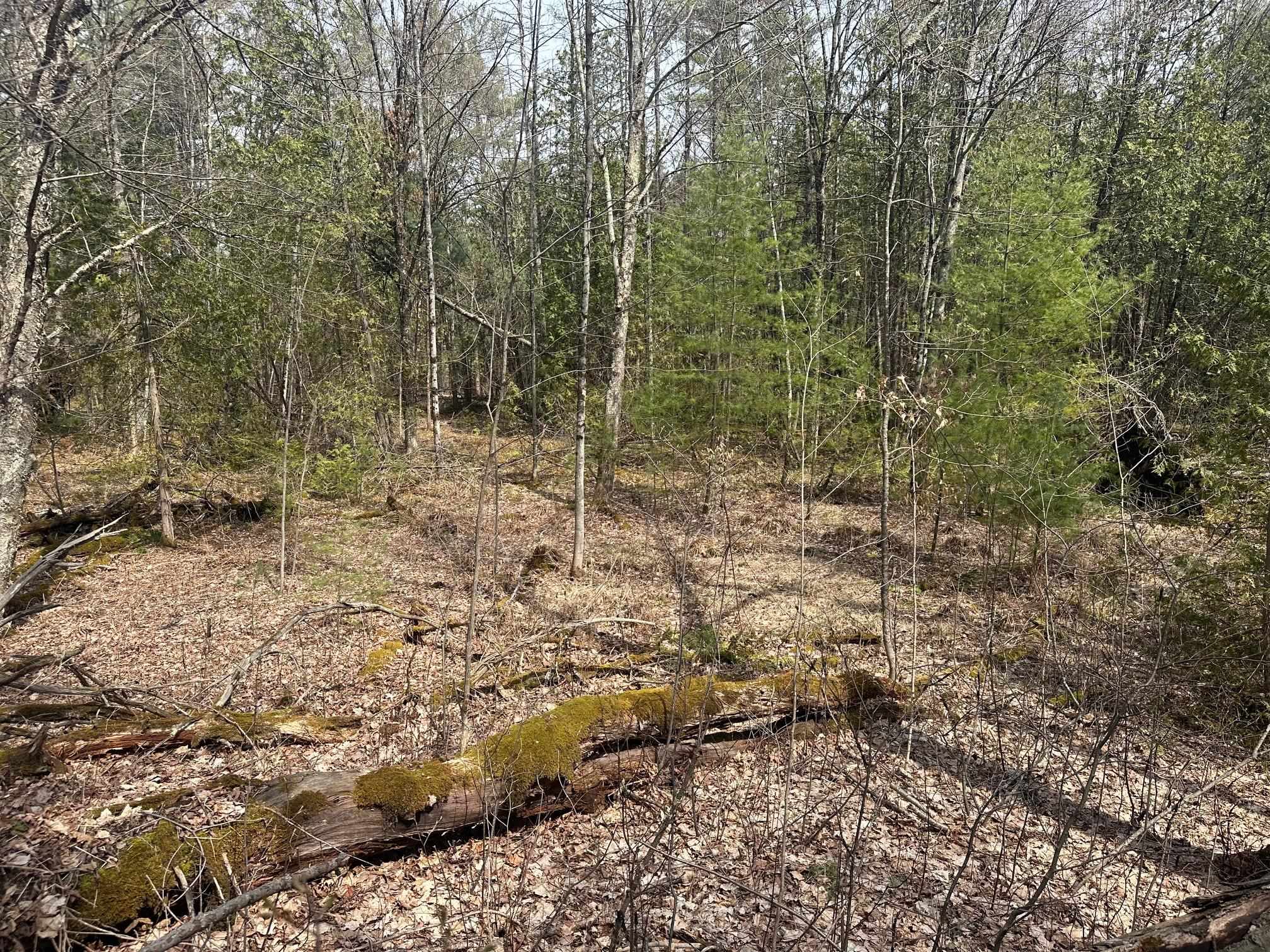 75 Plains Road Jericho, VT 05465 - Photo 8 of 26