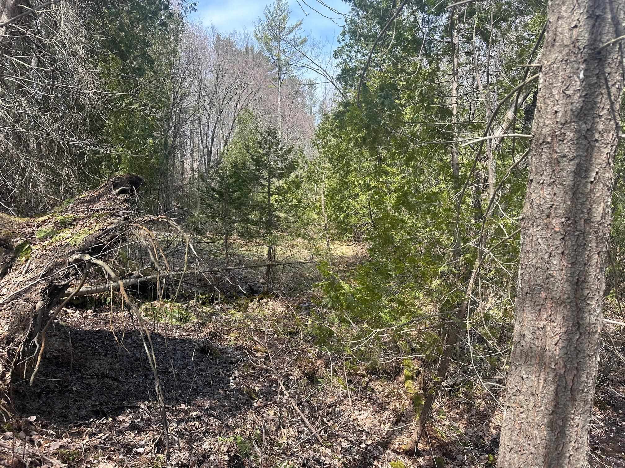 75 Plains Road Jericho, VT 05465 - Photo 9 of 26
