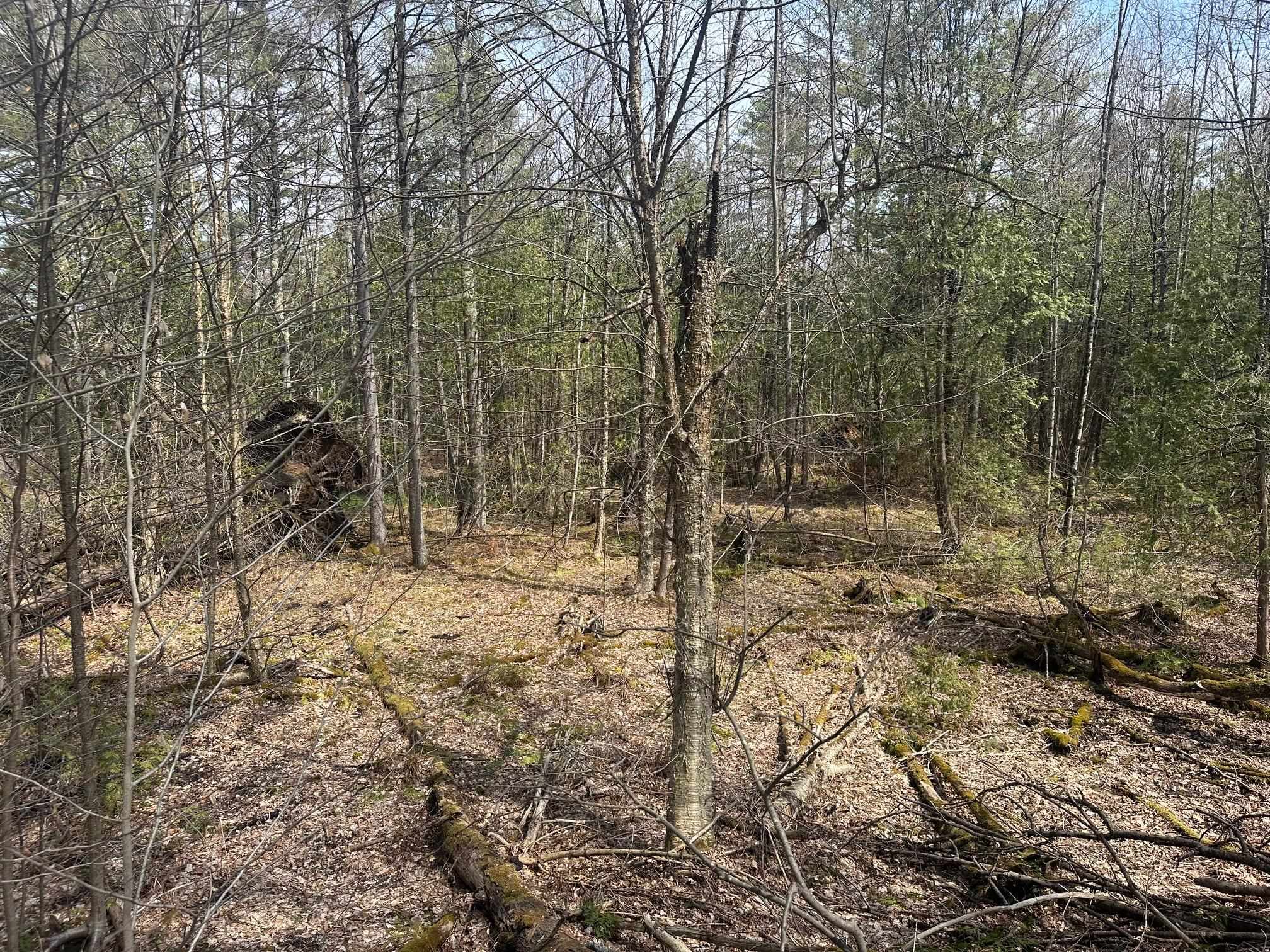 75 Plains Road Jericho, VT 05465 - Photo 10 of 26