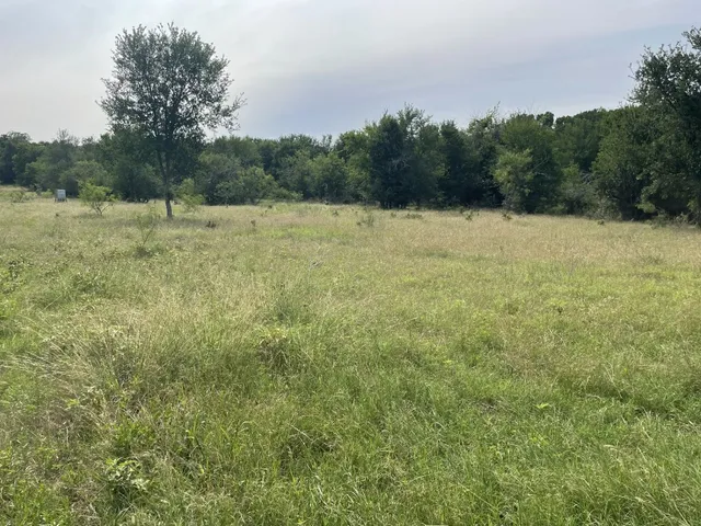 a view of a field with trees in the background