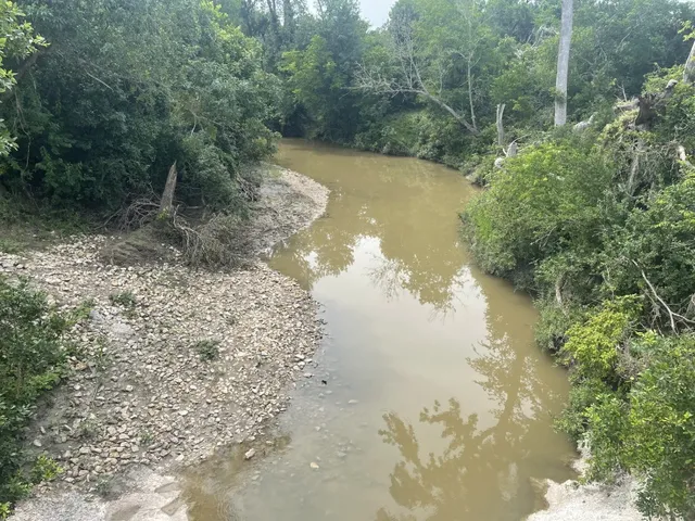 a view of a lake from a forest