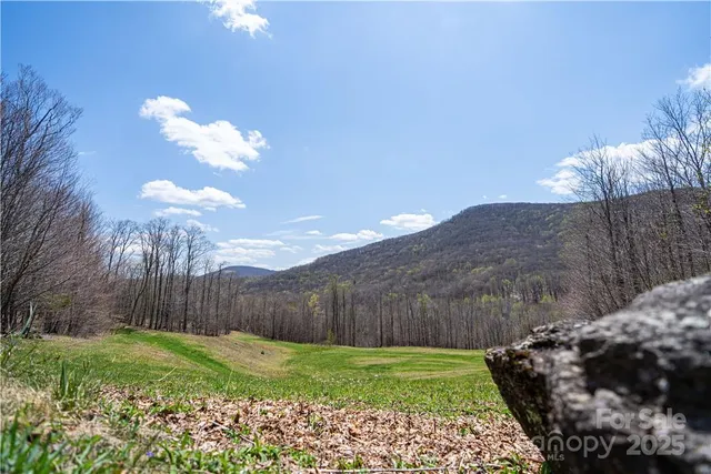 a view of a couches in backyard of the house