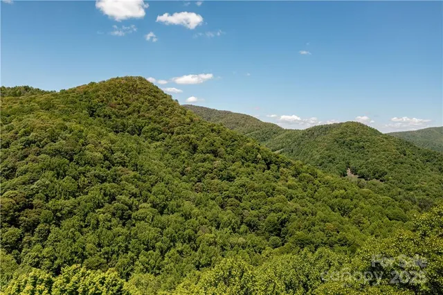 a view of a field with a mountain in the background