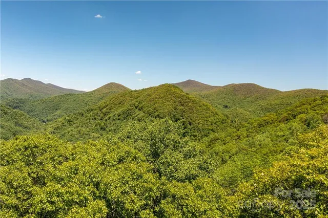 a view of a lake with a mountain in the background