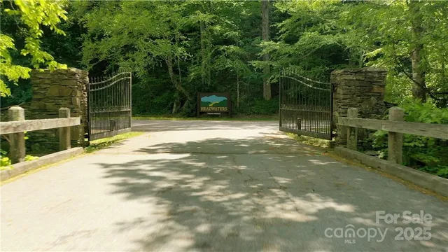 a view of a tree with a yard