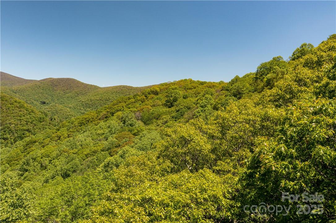 5 Wolfsbane Trail, Unit 5 Todd, NC 28684 - Photo 21 of 36 a view of a field with a mountain in the background