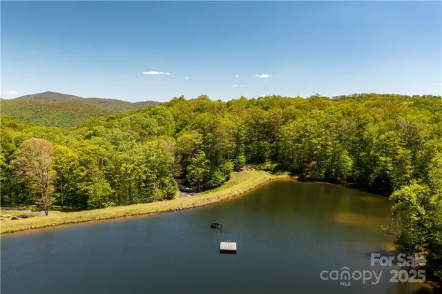 a view of a yard with plants and large trees
