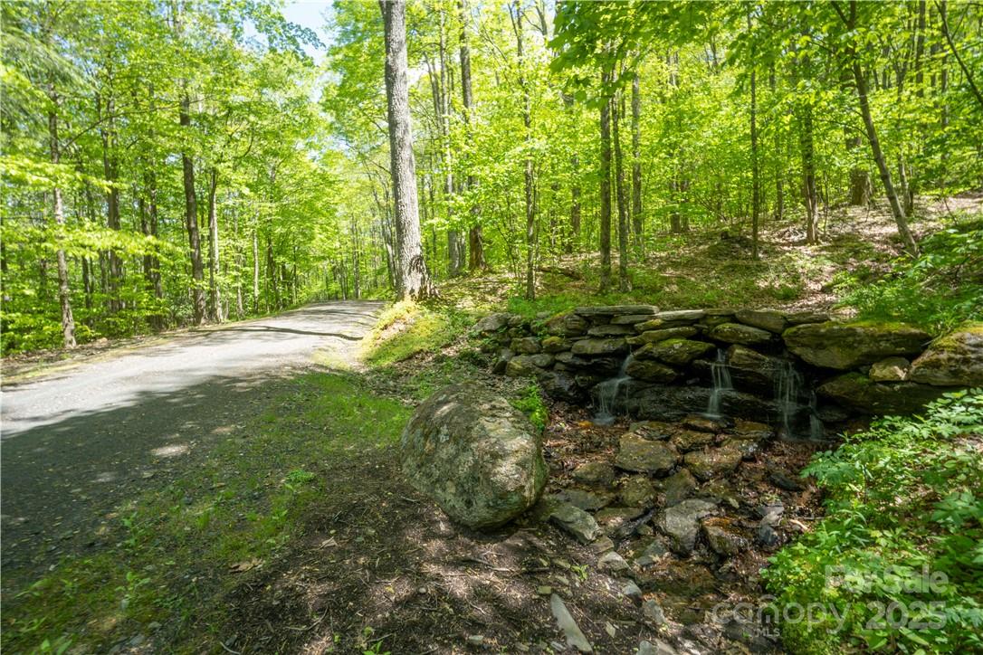 5 Wolfsbane Trail, Unit 5 Todd, NC 28684 - Photo 28 of 36 a view of outdoor space and yard
