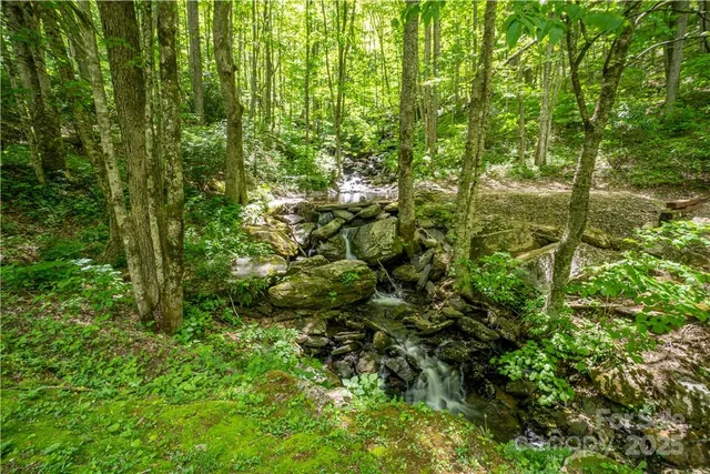 a view of a back yard