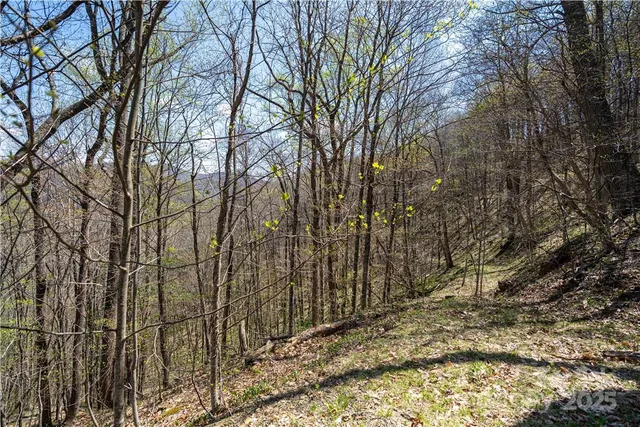 a view of backyard with a table and chairs