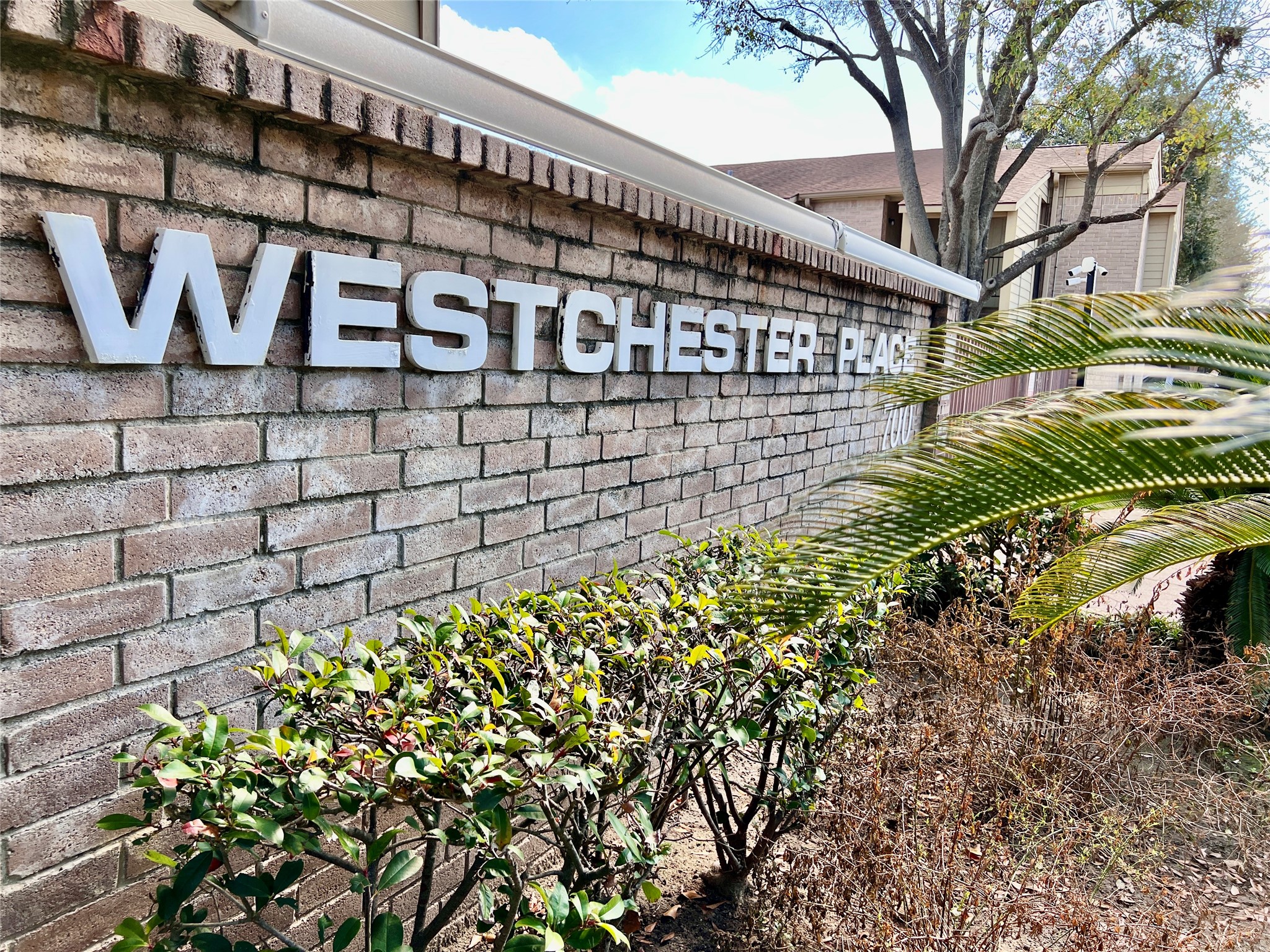 700 Thicket Lane, Unit 804 Houston, TX 77079 - Photo 26 of 26 a black and white wall of building in front of it