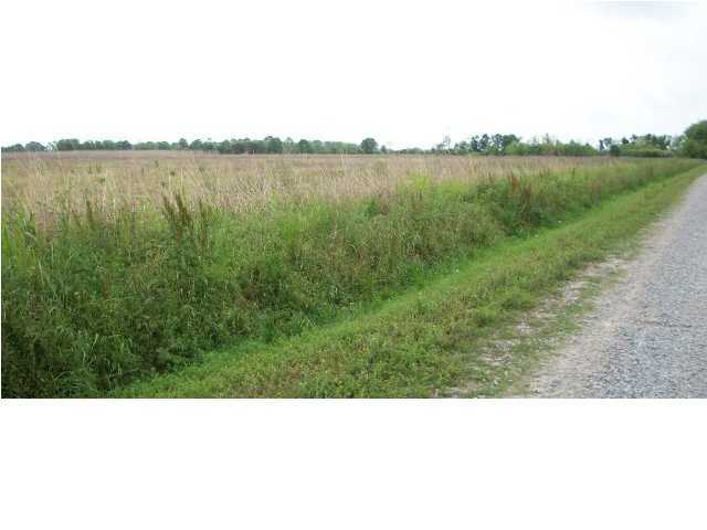 Rodrigue Road Abbeville, LA 70510 - Photo 2 of 3 Gallery Image 2