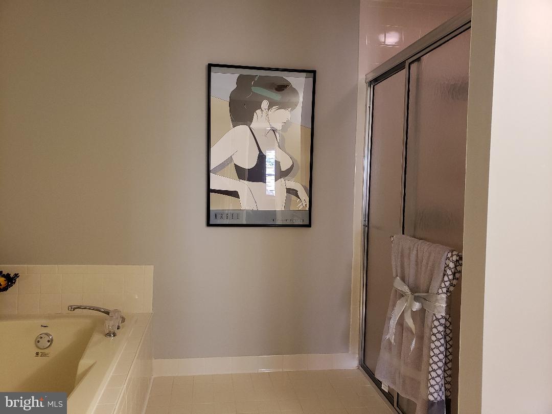 8049 Rising Ridge Road Bethesda, MD 20817 - Photo 22 of 33 a bathroom with a bathtub and shower