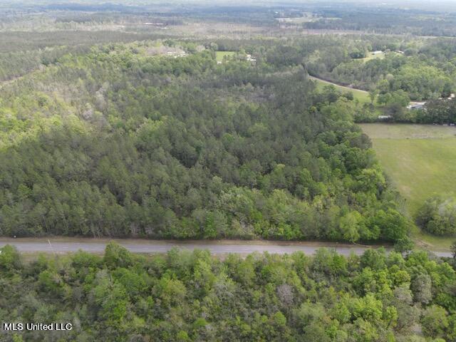 6 Deerwood Road Kiln, MS 39556 - Photo 5 of 10 DW Photo 5