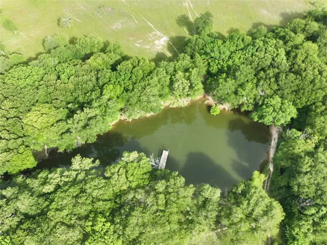 a view of a garden with a lake view