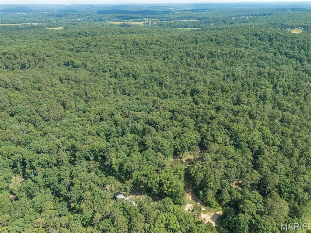 10130 Fish Hook Road Potosi, MO 63664 - Photo 25 of 29