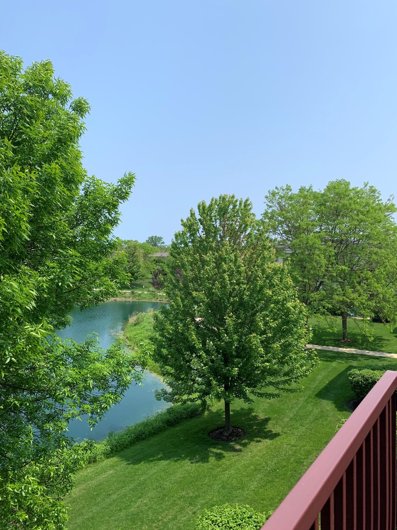 412 Kelburn Road, Unit 315 Deerfield, IL 60015 - Photo 14 of 22