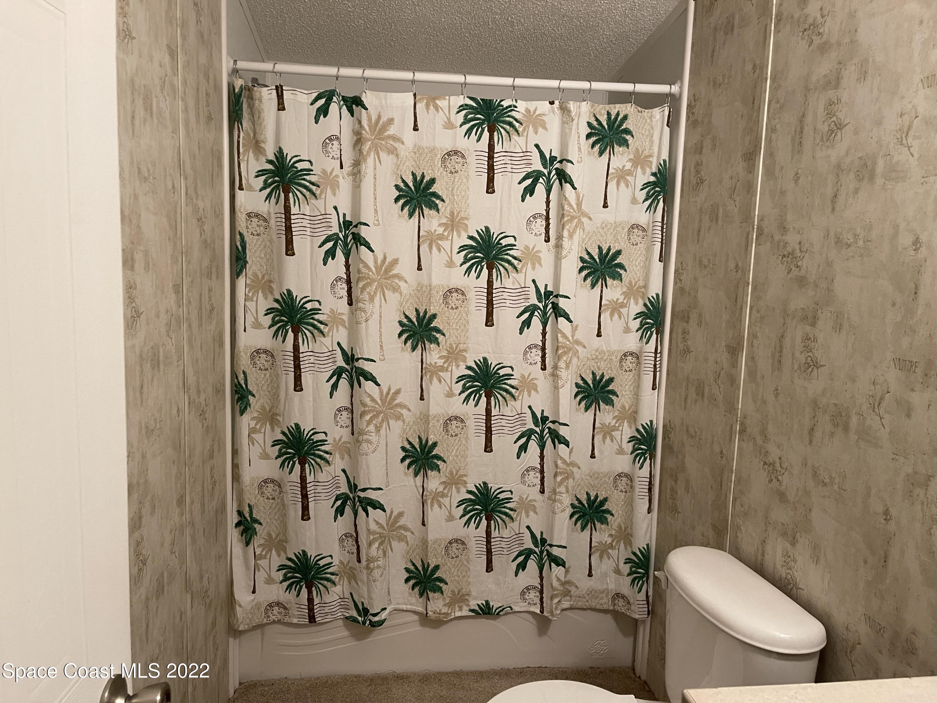 4680 Aurantia Road Mims, FL 32754 - Photo 19 of 56 Hall Bath