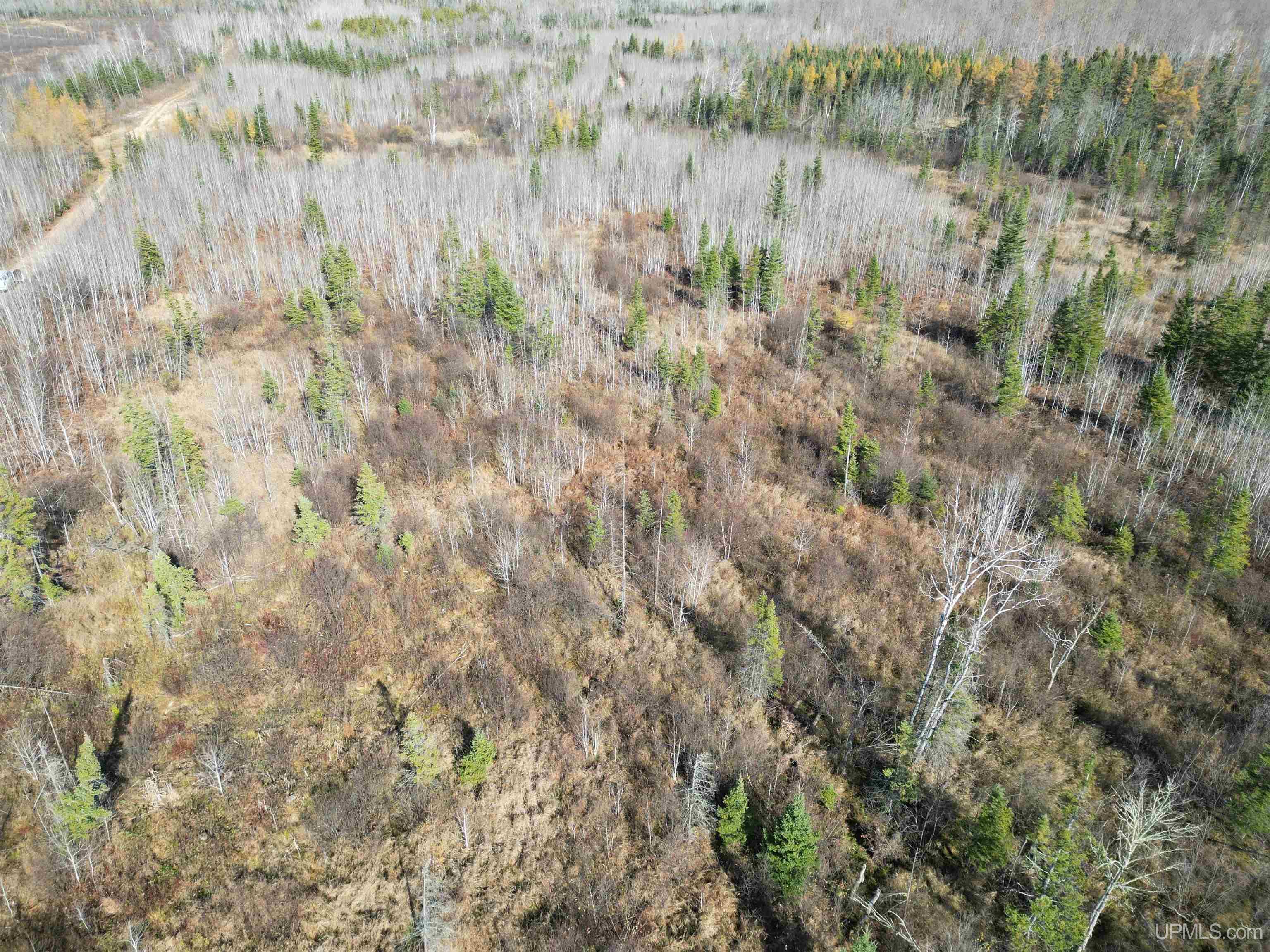 27.5 Rd 28 Acres Trail Gladstone, MI 49837 - Photo 7 of 24