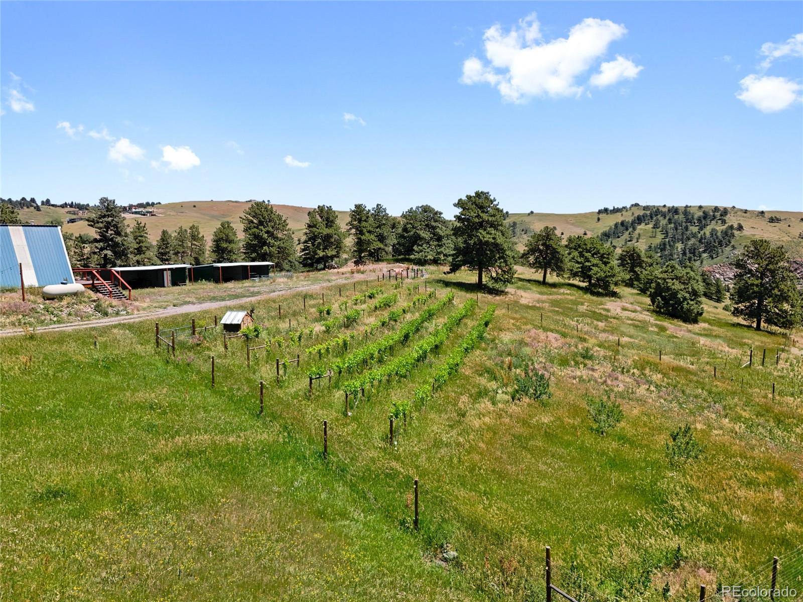 1044 South Grapevine Road Golden, CO 80401 - Photo 40 of 49 a view of a big yard with table and chairs