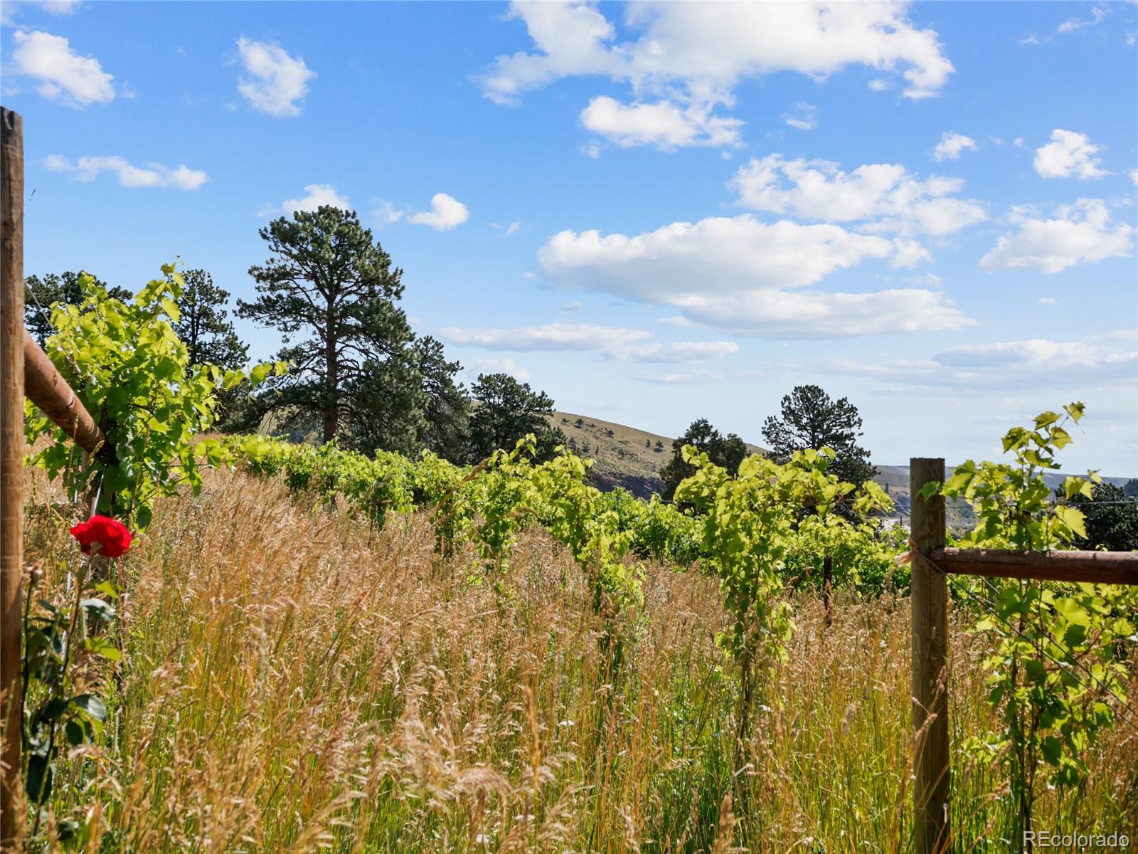 1044 South Grapevine Road Golden, CO 80401 - Photo 43 of 48