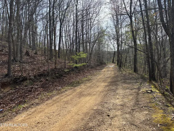 $599,000 | Lawson Road, Huntsville, TN 37756