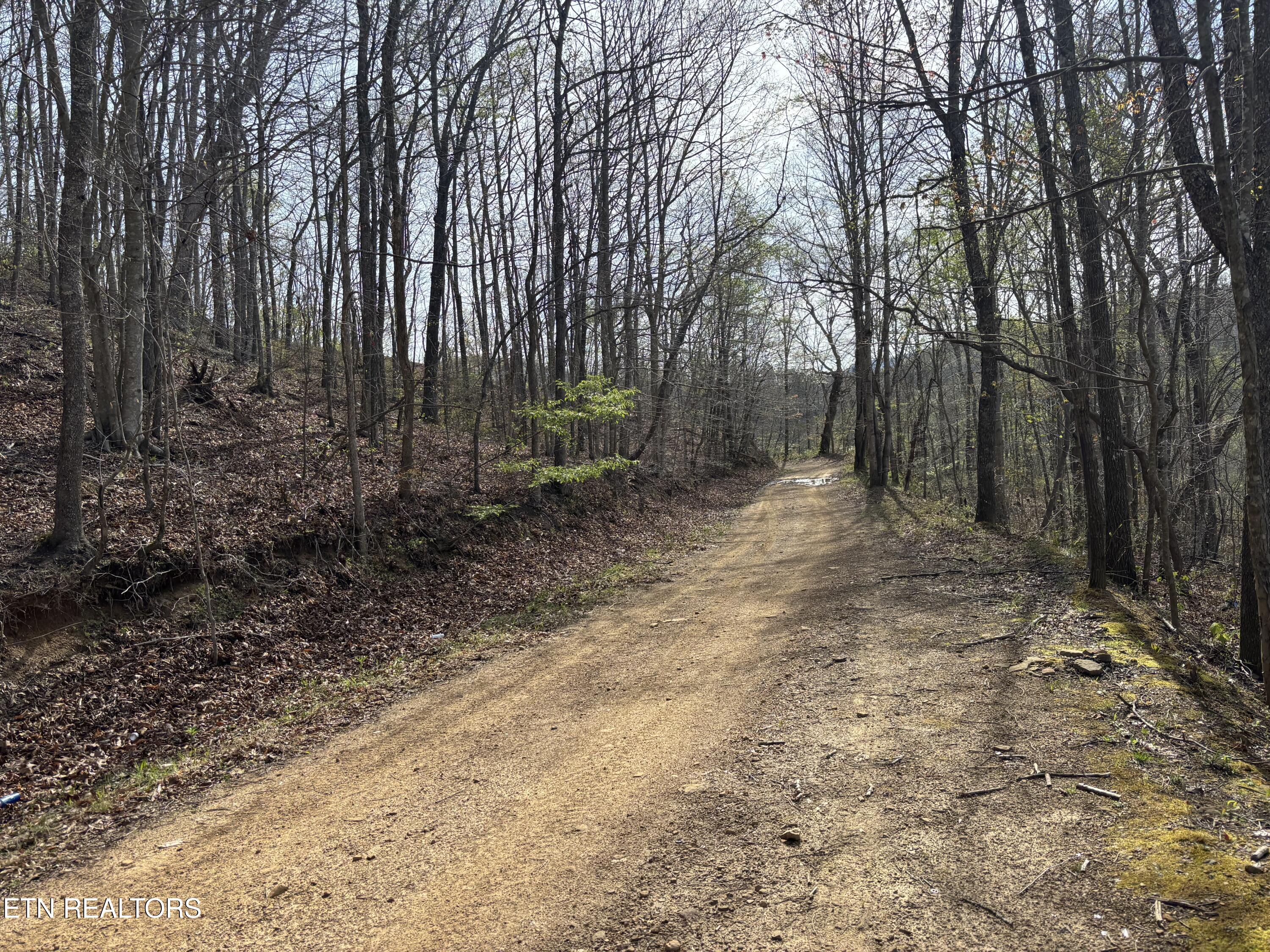 Lawson Road Huntsville, TN 37756 - Photo 1 of 12 IMG_5685