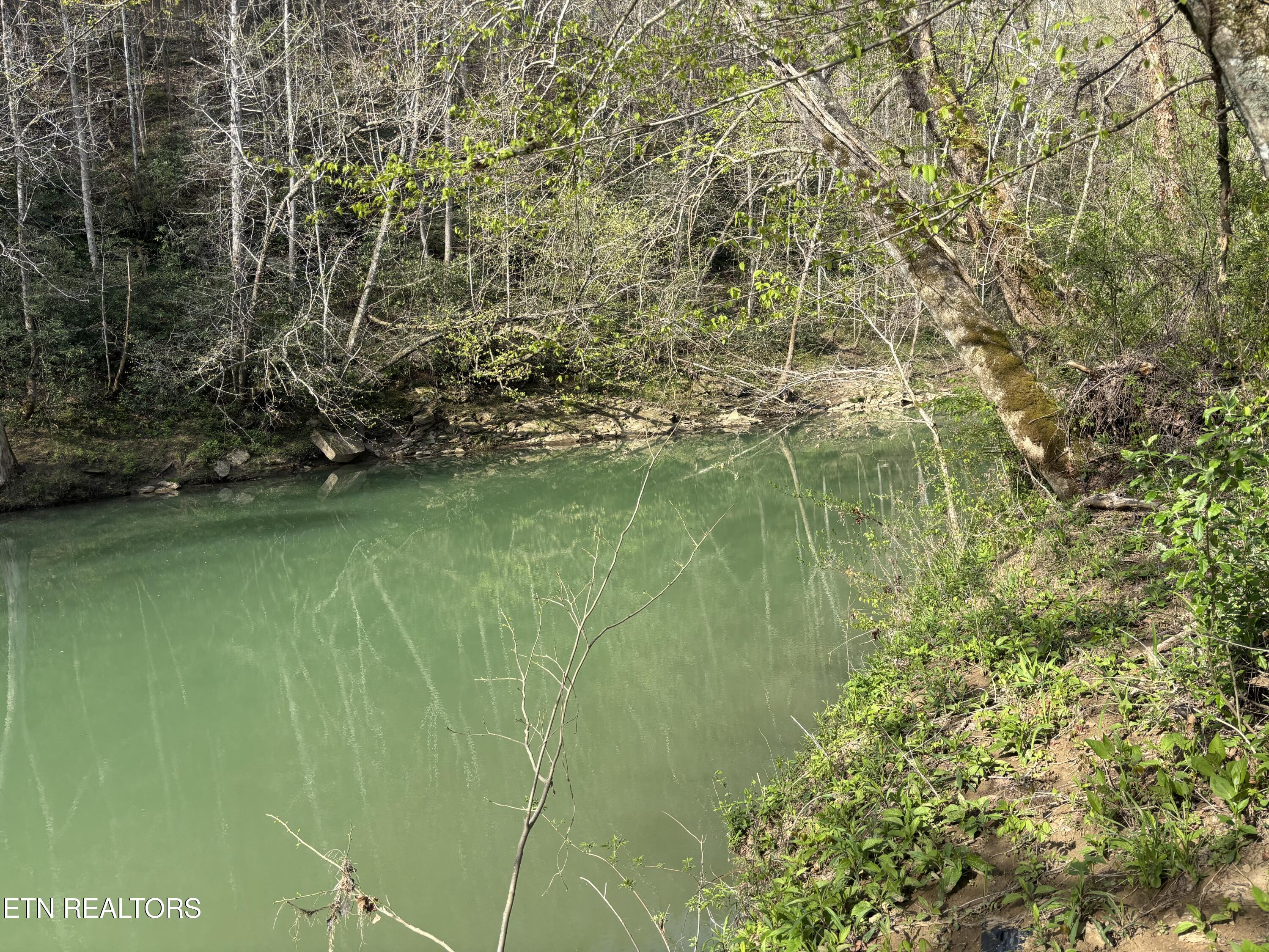 Lawson Road Huntsville, TN 37756 - Photo 3 of 12 IMG_5680