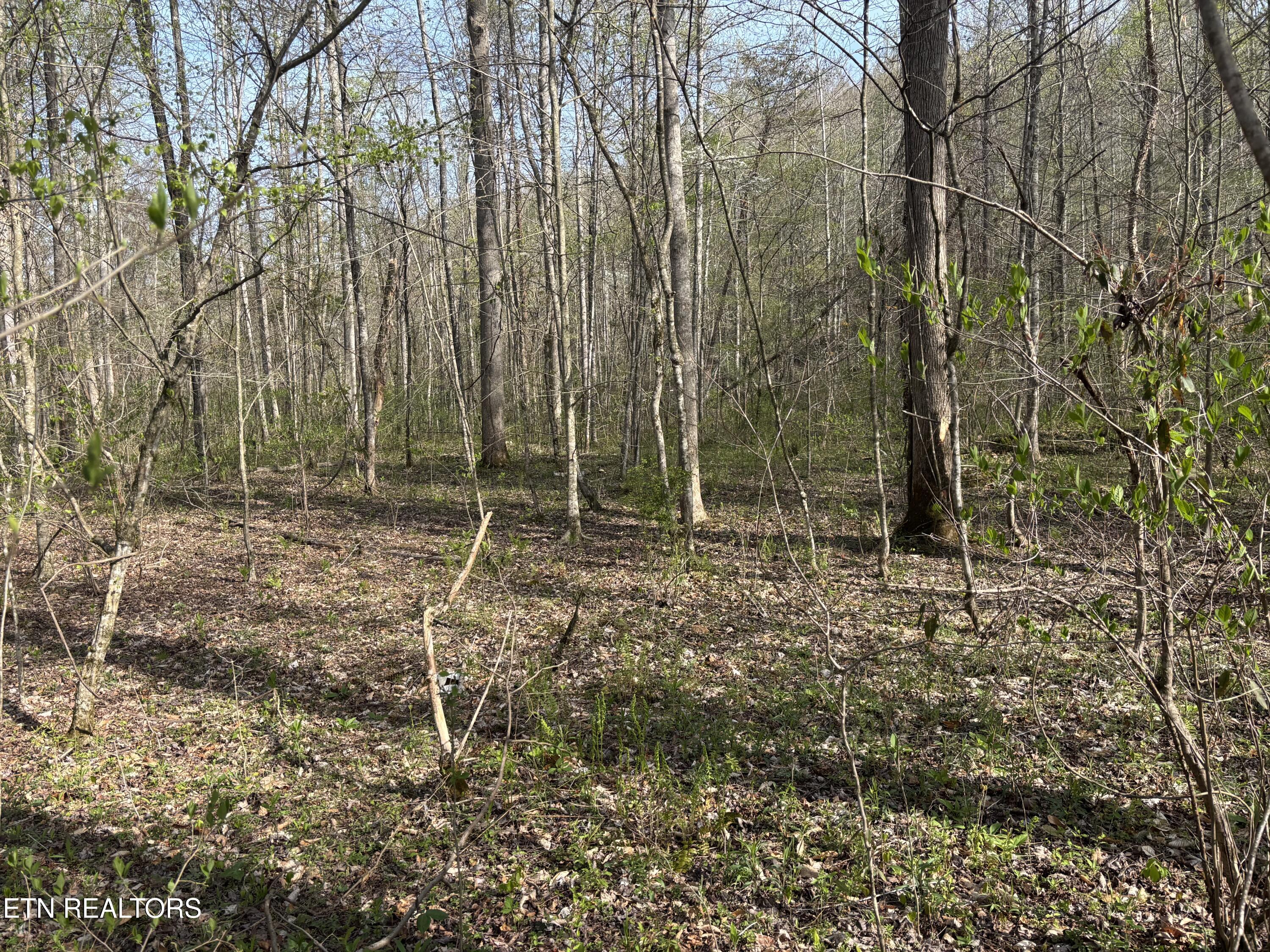 Lawson Road Huntsville, TN 37756 - Photo 6 of 12 IMG_5682
