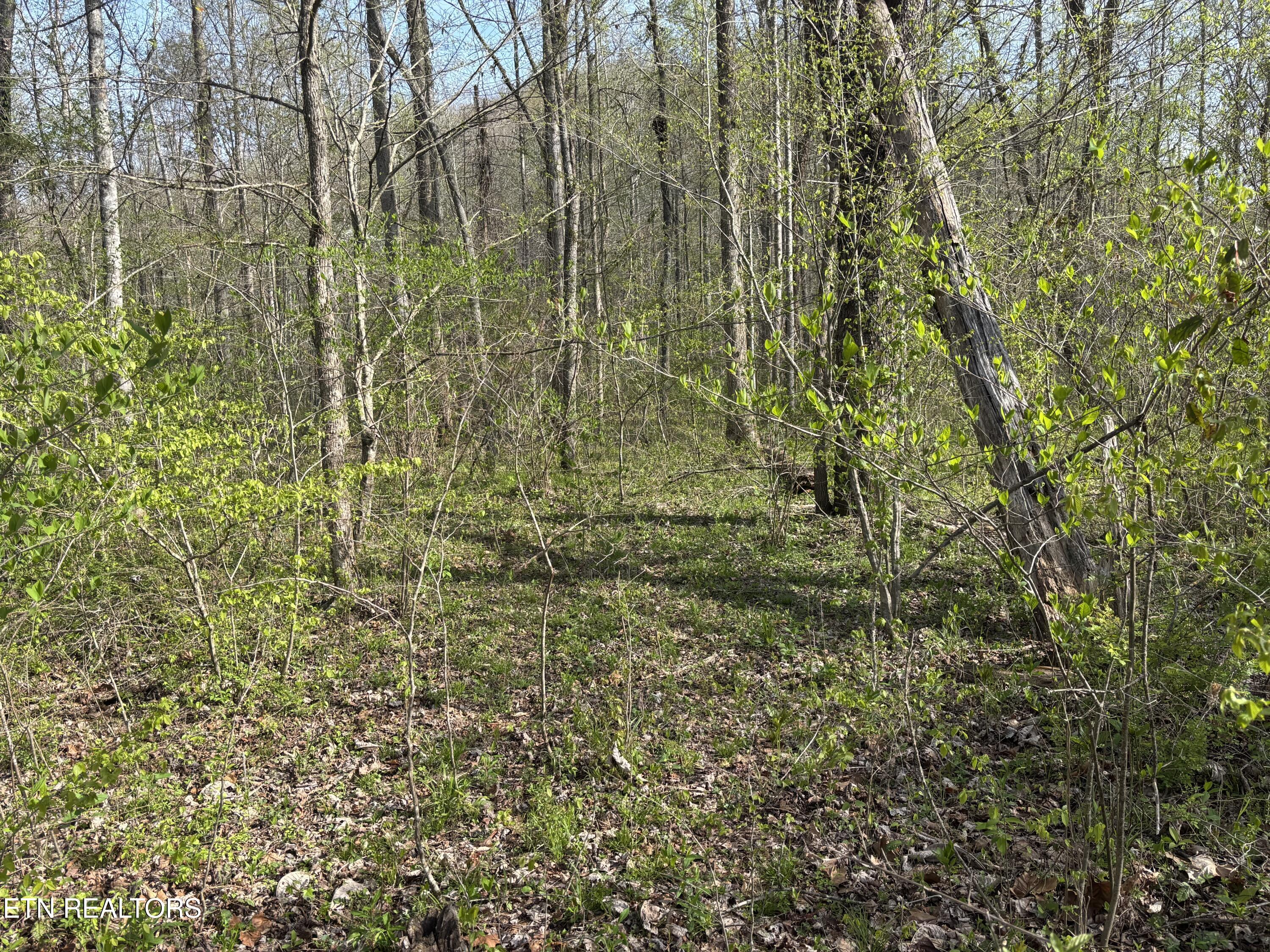 Lawson Road Huntsville, TN 37756 - Photo 9 of 12 IMG_5681