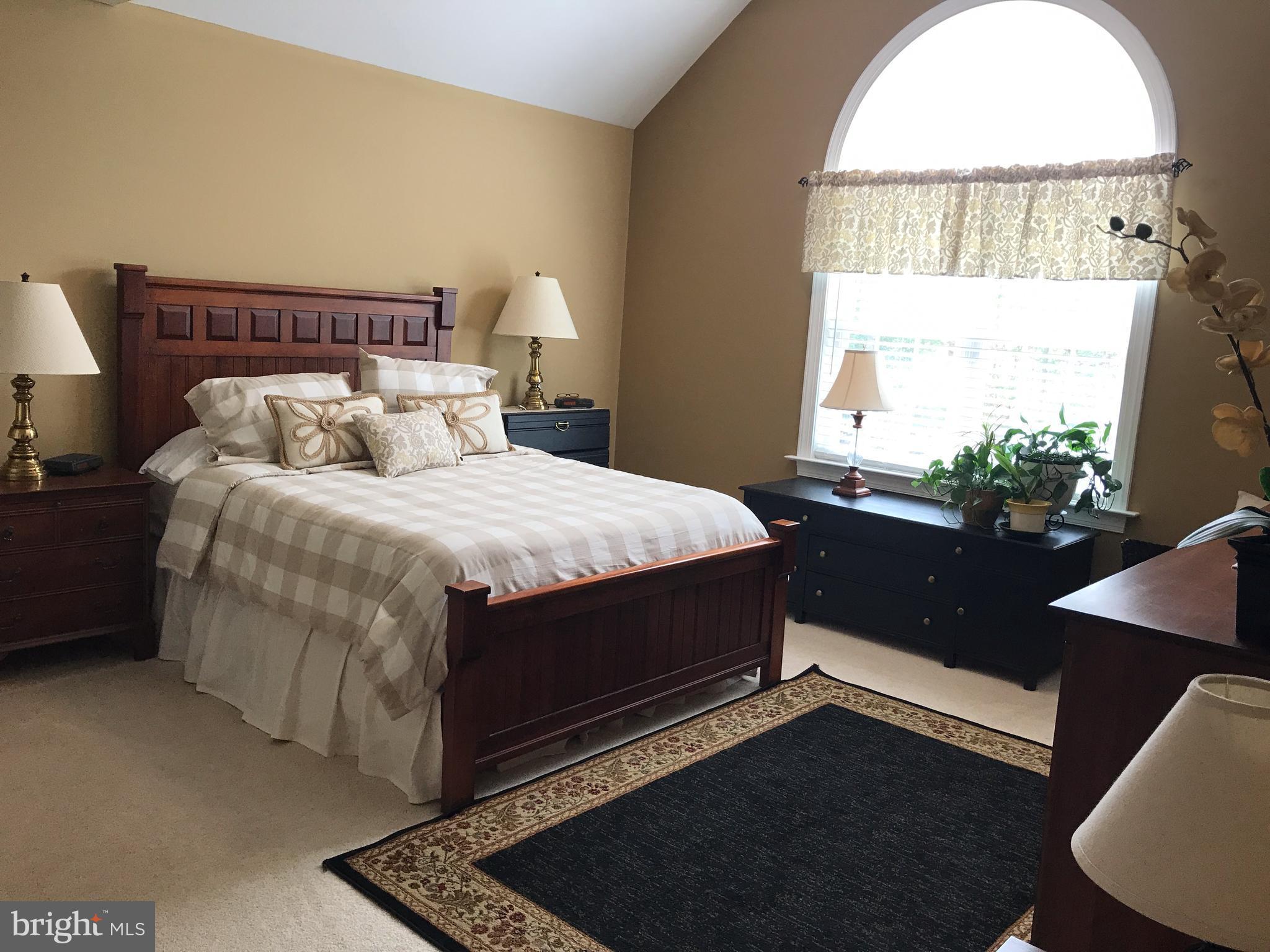 80 Elnor Road Bumpass, VA 23024 - Photo 14 of 25 Large Owner's Suite with Cathedral Ceiling