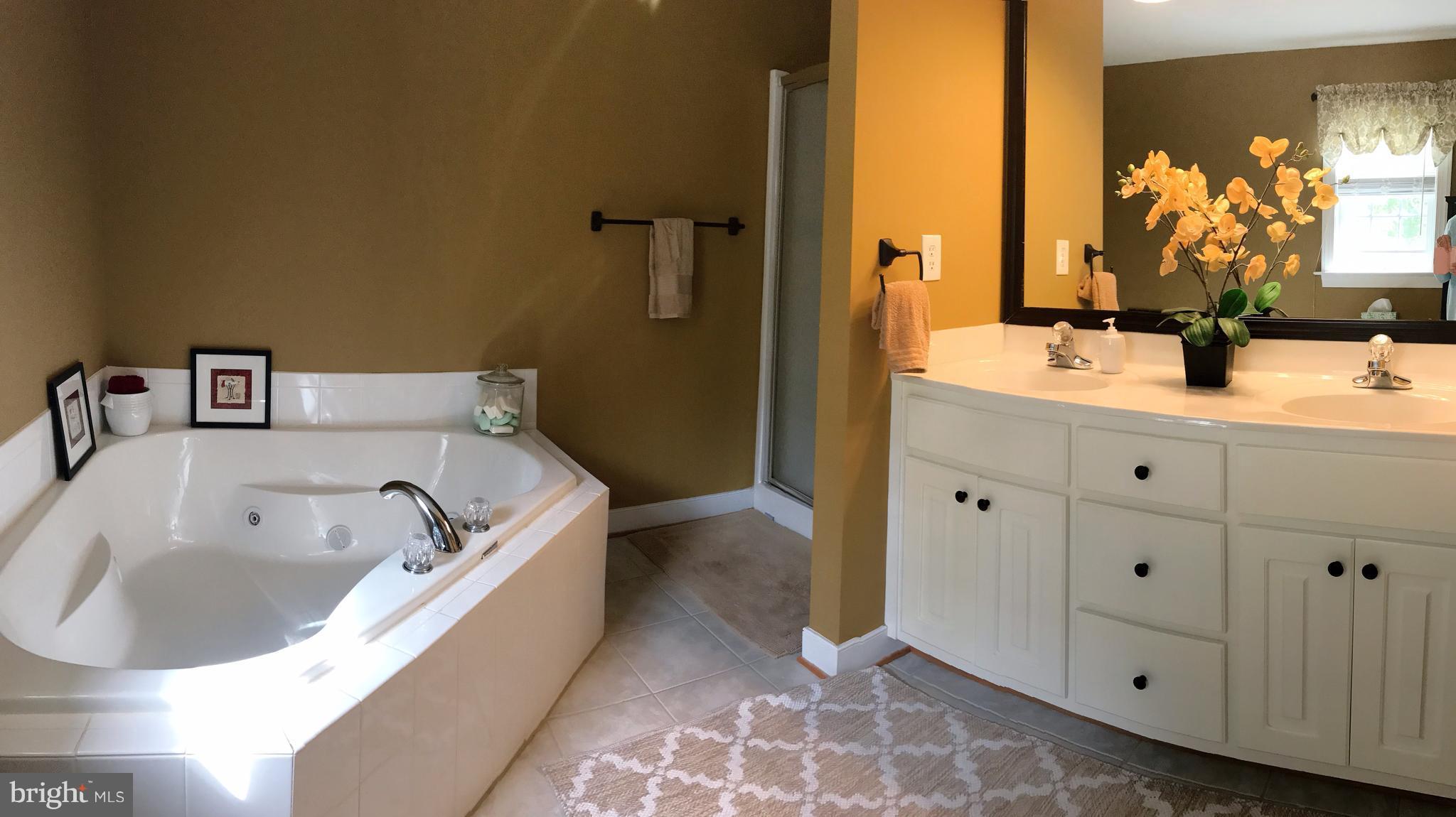 80 Elnor Road Bumpass, VA 23024 - Photo 15 of 25 Soaking tub and separate shower in Owners Bath