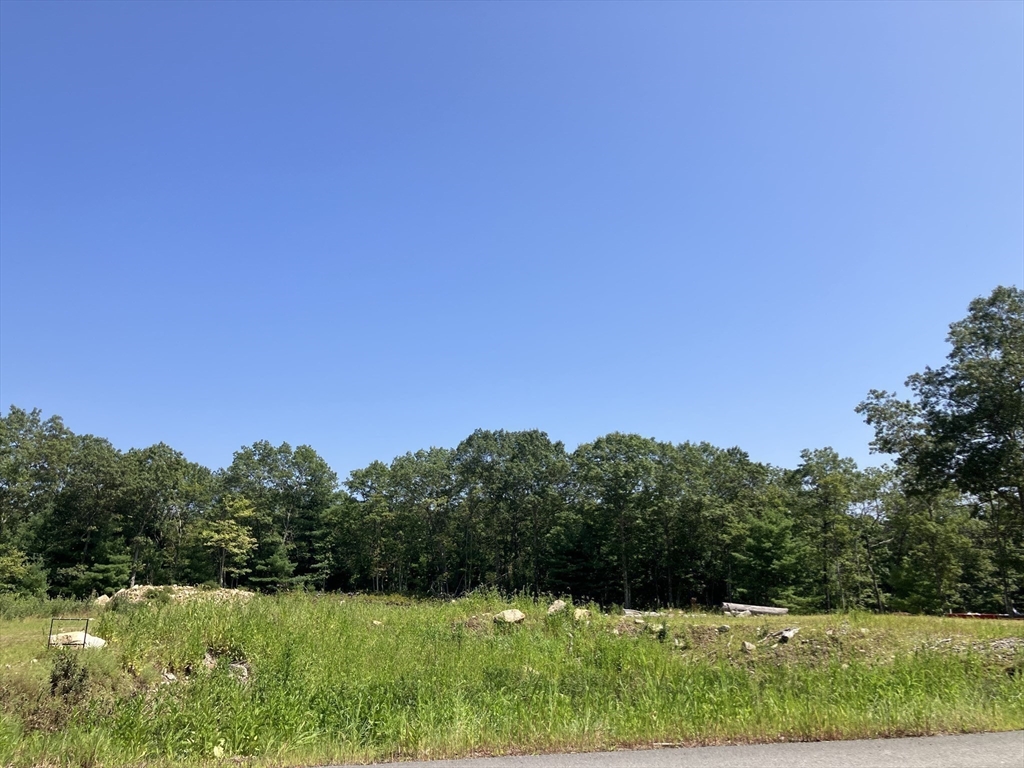 376 Mountain Street Sharon, MA 02067 - Photo 9 of 17