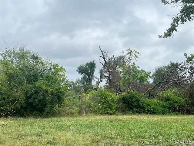 $9,500 | 5223-5225 Minerva Avenue, St. Louis, MO 63113