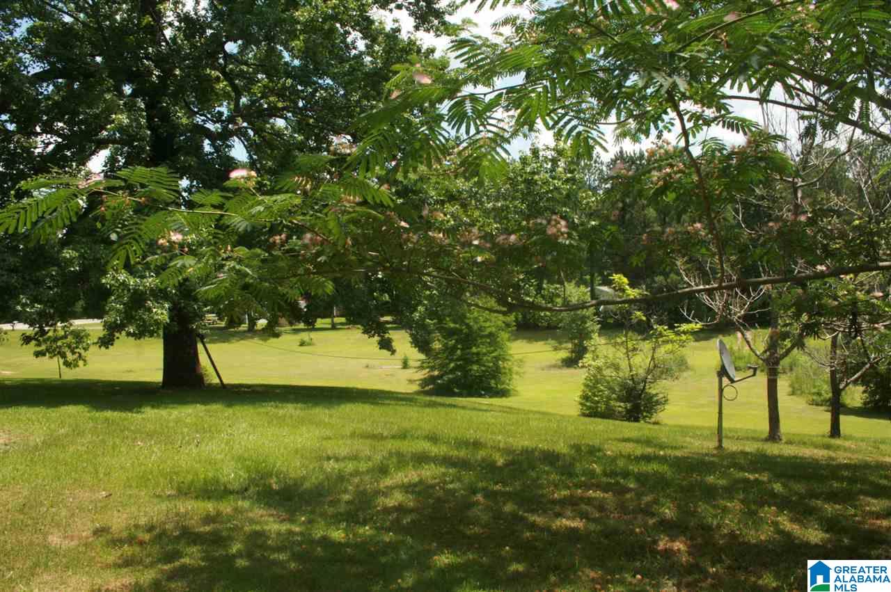 10973 Ben Clements Road Northport, AL 35475 - Photo 11 of 13