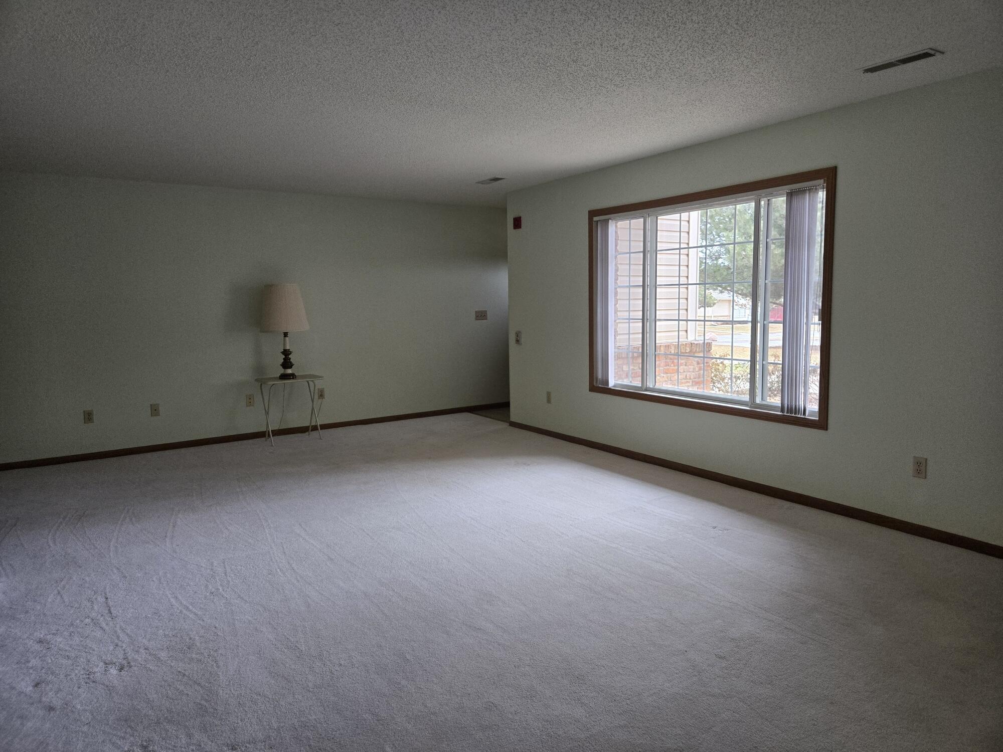 1661 Wisconsin Street, Unit 6 Sturtevant, WI 53177 - Photo 10 of 17 Living with great natural light