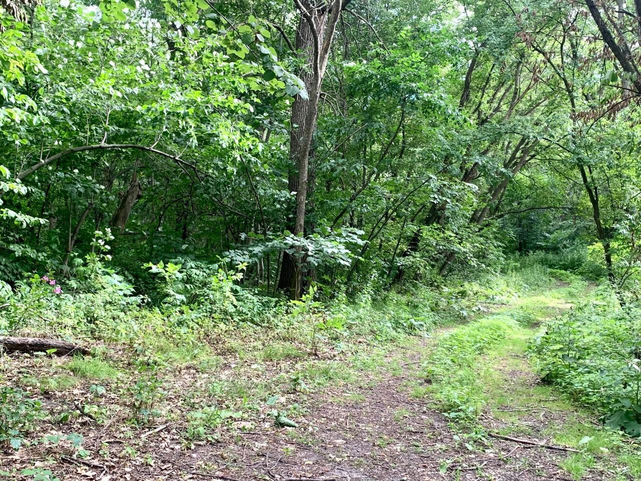 Lot 2 Crescent View Road Paynesville, MN 56362 - Photo 12 of 12